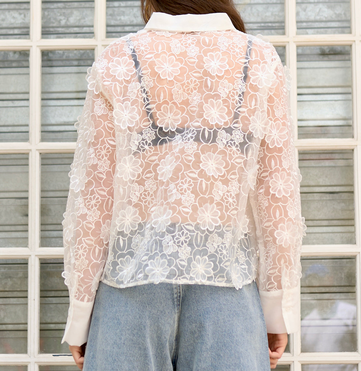 Delphine -  Sheer Embroidered Organza Shirt with Appliqué Flowers