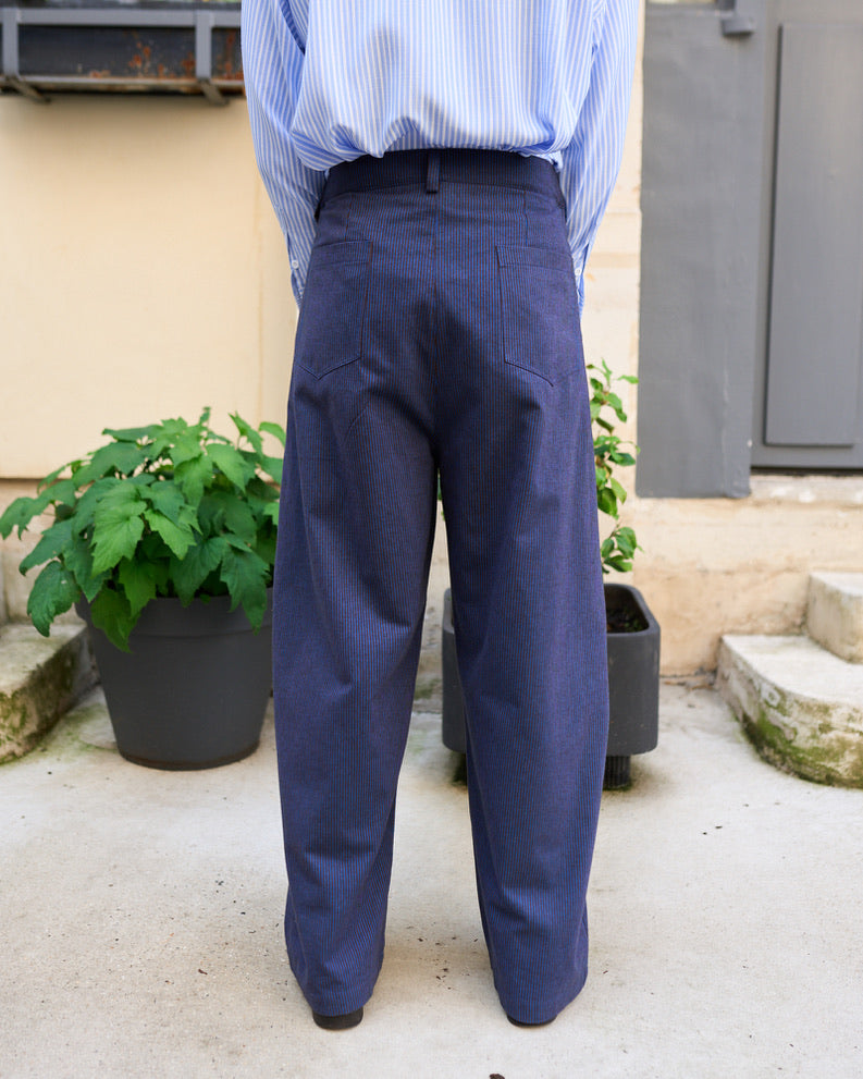 Zuri - Three Dimensional Pleated Pants - Stripe
